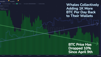 Bitcoin Whales Add 57,578 BTC Amidst Crypto Market Downturn