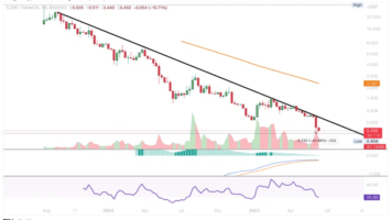 These are the Biggest Losers in the Crypto Market This Week