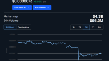 Shiba Inu (SHIB) Market Cap Drops B in 30 Days Amid Struggles