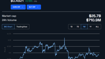 Is Ripple Considering Repurchasing 10B XRP? CTO Shares Insights