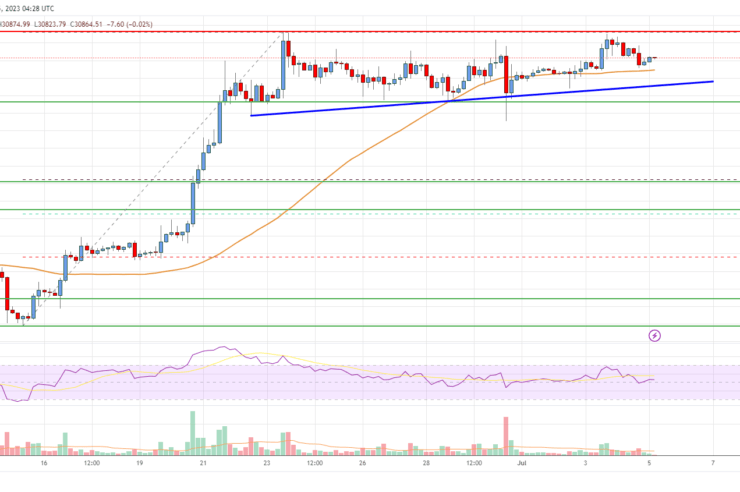 Bitcoin Price Analysis: BTC Eyes More Upsides Above ,250