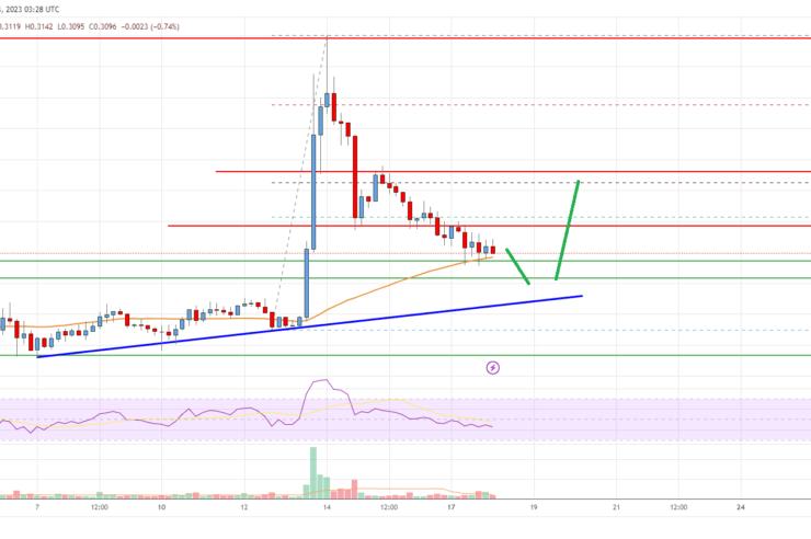 Cardano (ADA) Price Analysis: Key Uptrend Support Nearby At alt=