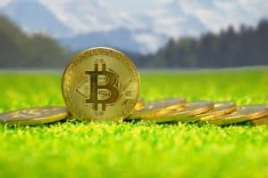 Analysis of recent market trends and the best cryptocurrencies for 2023: Insights for bitcoin’s next halving