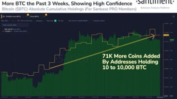 Bitcoin Whales: US Entities Top Accumulation With 71K BTC in 3 Weeks