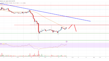 Bitcoin Cash Analysis: Recovery Could Be Capped Near 0