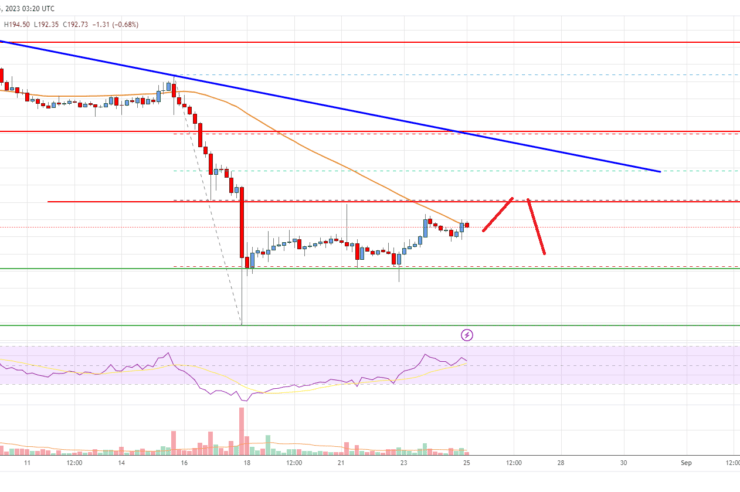 Bitcoin Cash Analysis: Recovery Could Be Capped Near 0