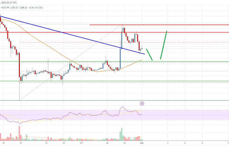 Bitcoin Cash Analysis: Bulls Struggle Near 0