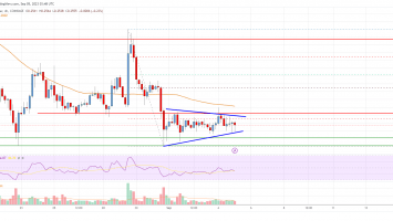 Cardano (ADA) Price Analysis: Bulls Struggle To Protect alt=