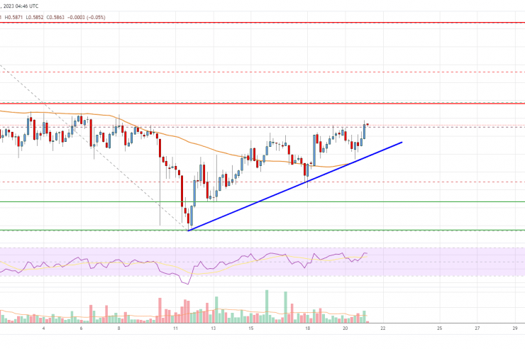 EOS Price Analysis: Technical Indicators Suggest Increase To alt=