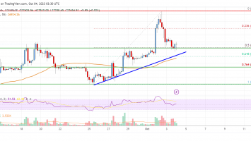 Bitcoin Price Analysis: BTC Could Restart Increase Unless This Level Gives Way