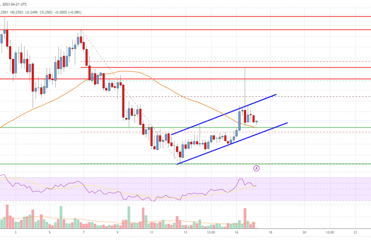 Cardano (ADA) Price Analysis: This Support Might Trigger Bullish Wave