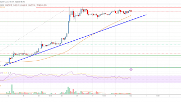 Bitcoin Price Analysis: BTC Hold Gains, Aims For Fresh Rally