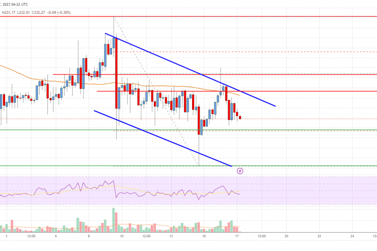 Bitcoin Cash Analysis: Bulls Struggle To Clear Key Hurdle