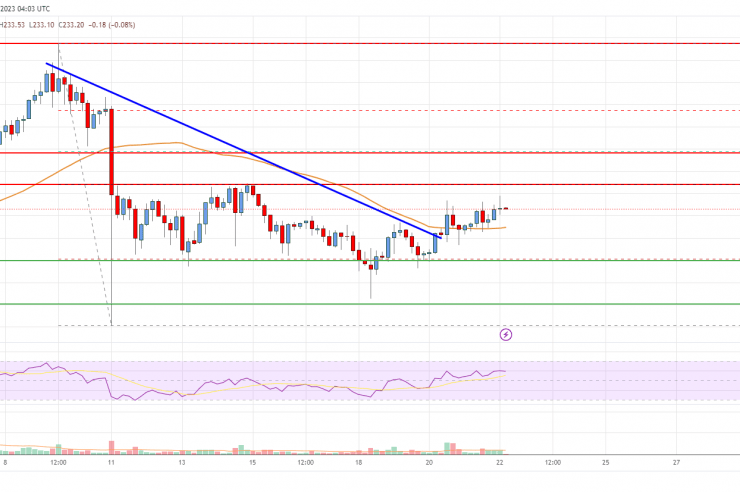 Bitcoin Cash Analysis: Fresh Rally Likely If Bulls Clear This Hurdle