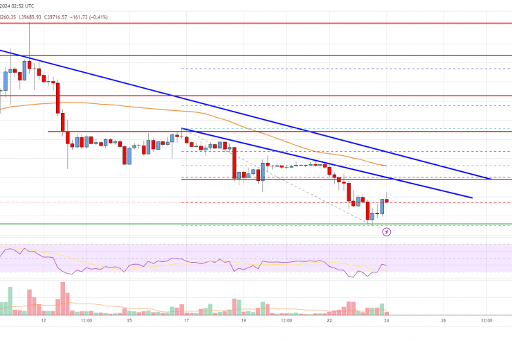 Bitcoin Price Analysis: BTC Takes Hit, Can This Support Hold?