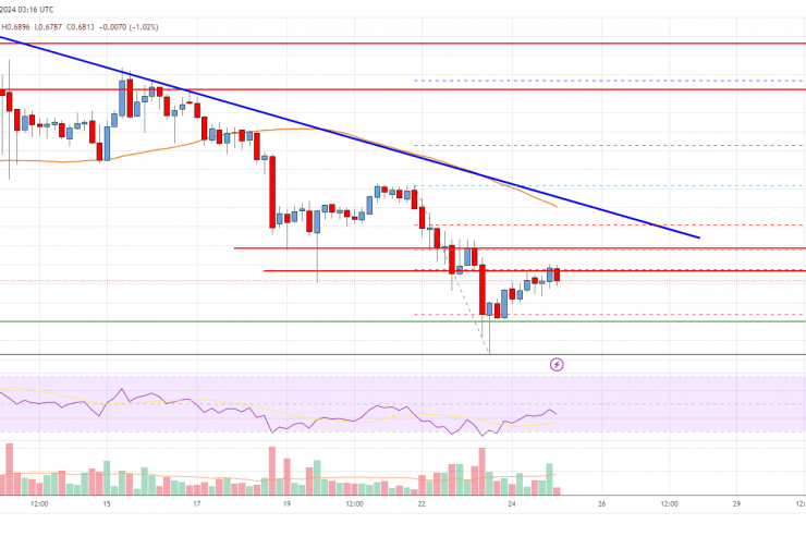 EOS Price Analysis: Indicators Suggest Bearish Bias Below alt=