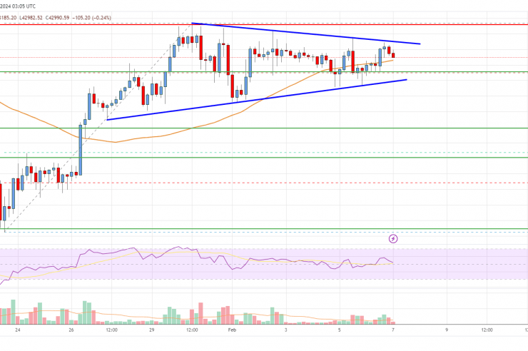 Bitcoin Price Analysis: BTC Consolidates Below Key Resistance