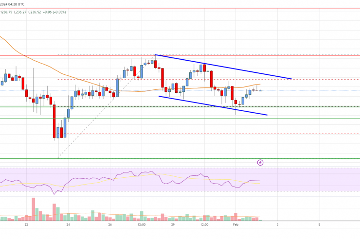 Bitcoin Cash Analysis: Dips Could Be Supported Near 0
