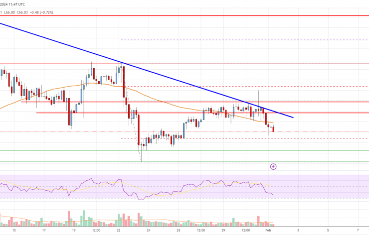Litecoin (LTC) Price Analysis: Bulls Struggle To Start Fresh Increase