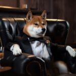 Shiba Inu (SHIB) To Erase Zero After Price Spike, Bonk (BONK) Declines Pushes Holders To KangaMoon (KANG)
