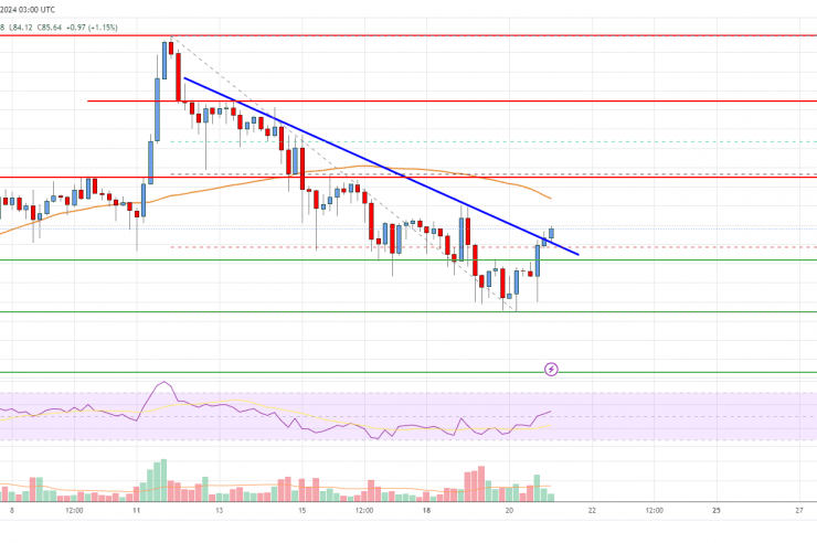 Litecoin (LTC) Price Analysis: Rally Could Restart Toward 0