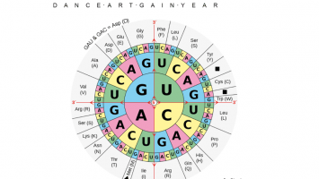 Saving Seeds in DNA: Bitcoin as Information