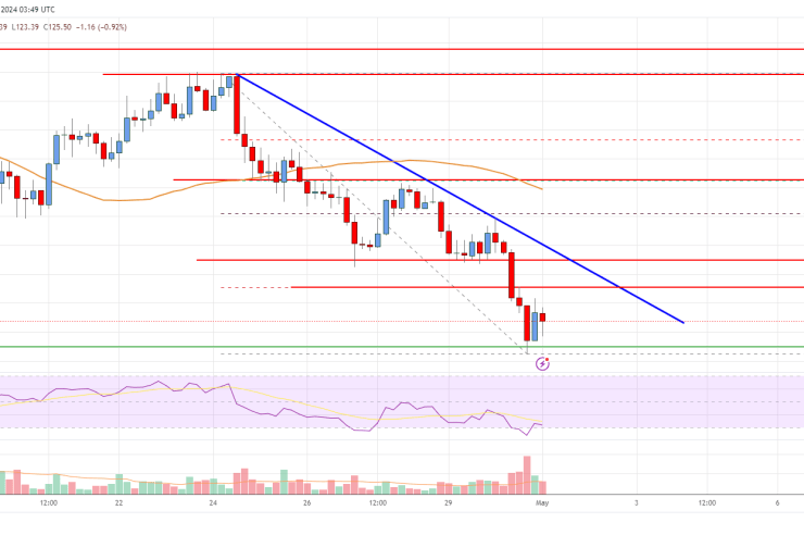 Solana (SOL) Price Analysis: Recovery Could Face Many Hurdles
