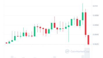 We Had Warned: Massive Rising Altcoin Suffers Major Correction, Whales Panic Sell