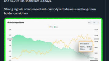 BTC News: Whales Move 47K BTC: Is the Next Rally Already Starting?