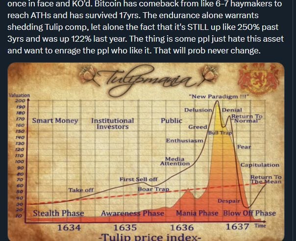 Bitcoin Shatters Tulip Mania Myth With 17-Year Track Record